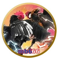 mb666